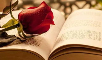 情感修复挽回文章,情感修补：用挽回技巧争取爱情