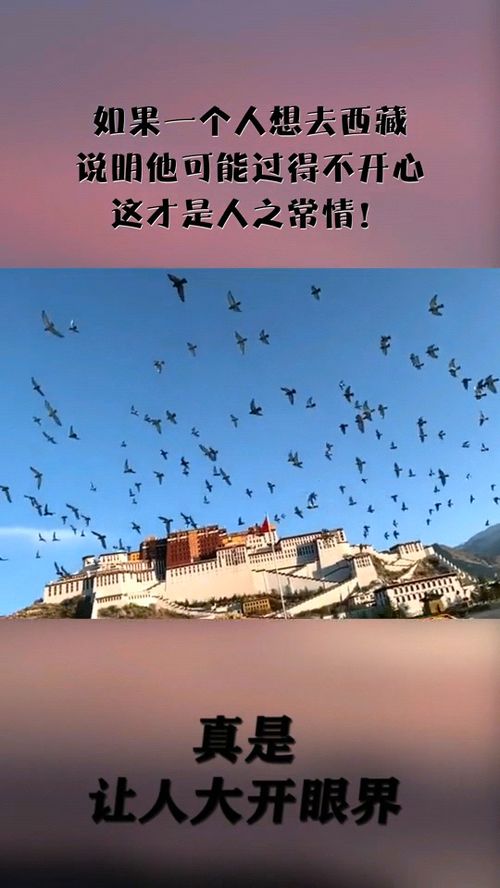 无法挽回的彩照,彩照无法挽回，只能铭记 不超过40字