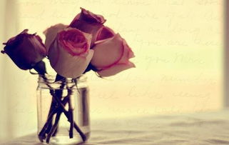 怎么挽回射手男性格,如何挽回射手座男生？