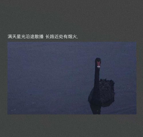 暗示想挽回的文案,如何用正确的方法挽回TA的心？