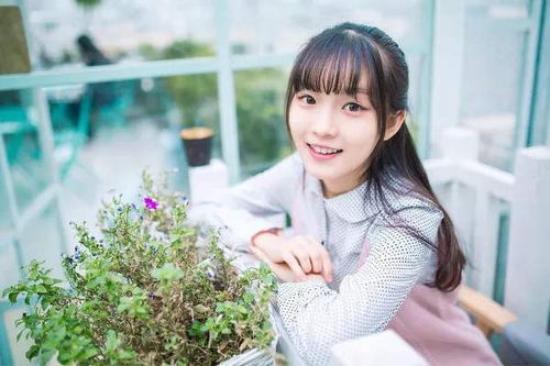 天秤男挽回巨蟹女,如何成功挽回巨蟹女