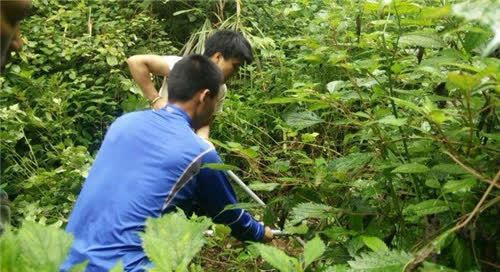 挽回主动废物测试,如何变废为宝：主动积累实力