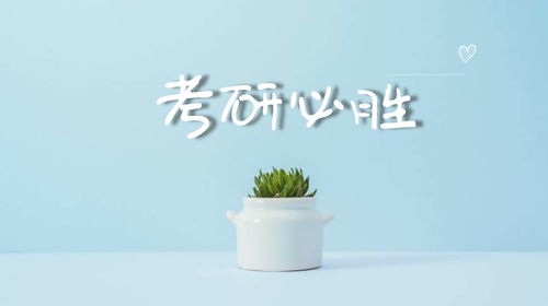 无缝衔接更容易挽回,无缝衔接，轻松挽回，看这里！