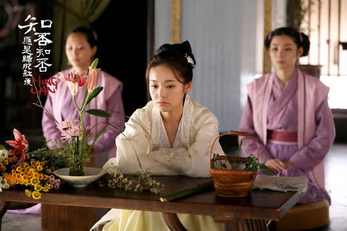 席悦情感挽回公司,席悦感情挽回服务公司