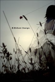 用悲伤的话挽回她,深爱的她已离去，如何挽回？