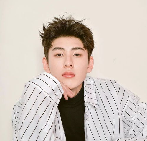 挽回男人发型圆脸推荐,圆脸男士的发型挽回攻略