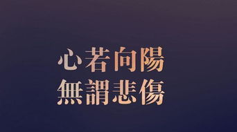 重生后悔挽回婚姻小说,婚姻迷途，痛定思痛决心重来