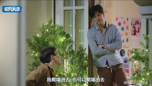 怎样挽回初恋的方式,如何重新赢回初恋？