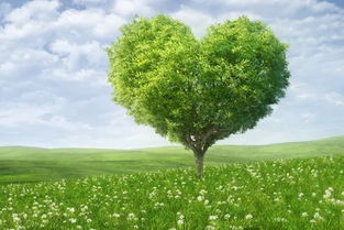 女人提离婚怎样挽回,如何挽回女人提离婚的心？