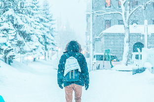 挽回在冬天之前,如何在冬季到来前挽回失去的爱情