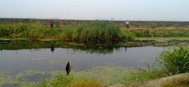 湛江怎么挽回恋情咨询，湛江恋情挽回的建议