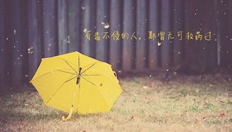 情感挽回专家有哪些,情感专家教你挽回爱情