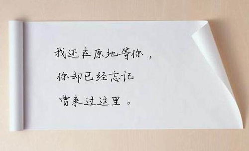怎样挽回数学教授的心灵，挽回伤心数学教授，重拾失落教学热情