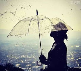 绝情挽回金牛座,挽回失去的金牛座爱情