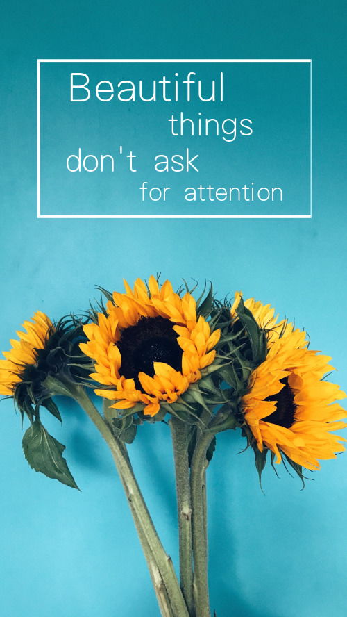 想挽回如何说早安,如何用早安挽回初心