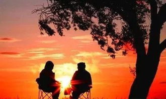 怎么挽回不再联系的人,重新获得失联人的信任