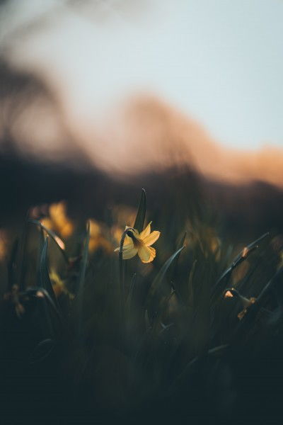 破镜重圆情感挽回说说,心灵相连，情感再续