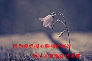 看了会心酸挽回句子,挽回绝望：青春就像曙光，随时可能被熄灭