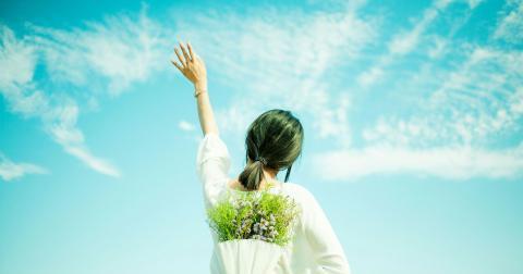 无力挽回在线播放,失去挽回，再无重来