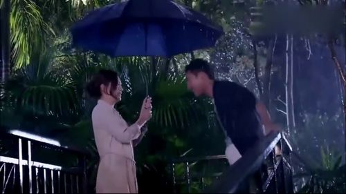 总裁雨夜挽回女配，雨夜归来：总裁绝情后悔，成功挽回女配