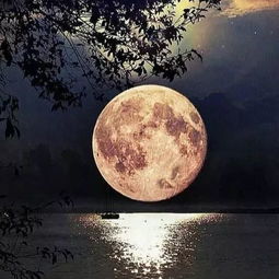 和月亮金牛分手挽回,如何挽回月亮金牛分手的爱情？)