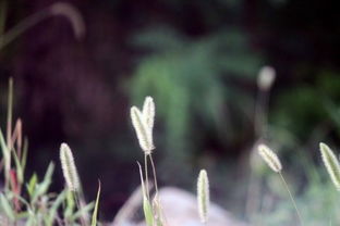 挽回好运的的称,重拾好运，绽放光彩