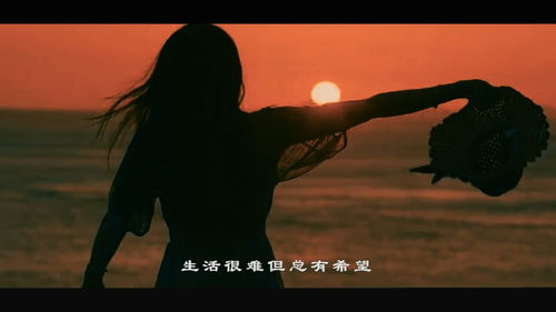 背叛后不断的挽回,背叛后的挽回之路