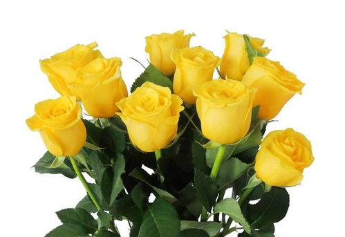 杭州恋爱挽回方法较快,杭州爱情挽回攻略速效！