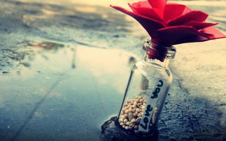 挽回爱情感悟诗句,你已不同，何不再给我一次机会——爱情挽回感悟