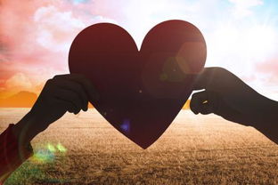 感情闹矛盾怎么挽回,情感冲突中如何挽回？