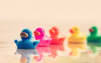 怎样才会挽回摩羯座的心，如何让摩羯座重新对你动心