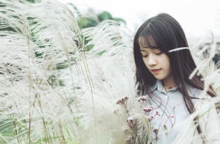 注定分手挽回金牛天蝎，重拾感情，成功挽回金牛和天蝎