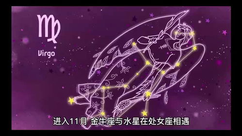 十二星座挽回概率排名,十二星座挽回指数大揭秘