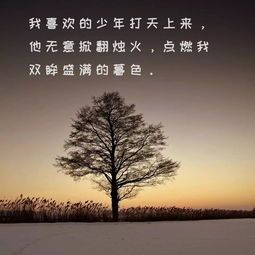 挽回的心灵鸡汤,让你的爱重新点燃：挽回感情的秘诀)