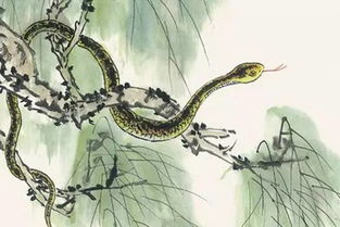 怎么挽回属蛇男,属蛇男如何挽回，有效方法提供