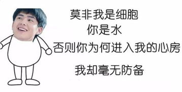 挽回前任的表白情书,挽回前任的真挚表白