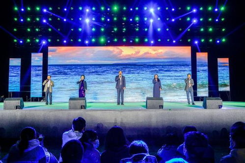 形容挽回晚会的句子,挽回晚会：从失误到新生