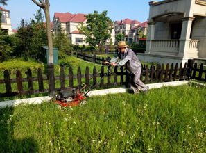 暴雨后怎么挽回草坪,挽救淹水草坪的小技巧