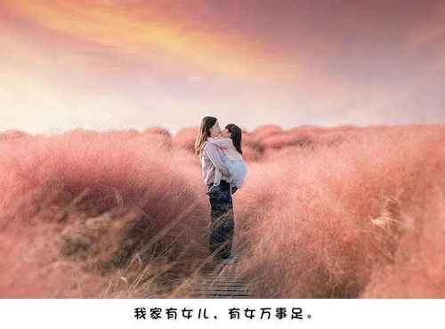 挽回和追求哪个更难,挽回和追求：哪个难度更大