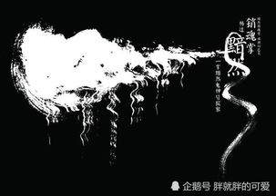 生命无可挽回,生命无法挽回