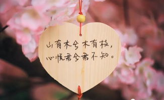 过早表白失败后挽回,爱情不顺？尝试挽回它！