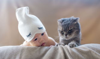 如何看待猫咪挽回女友,猫咪成功挽回女友，暖心大片