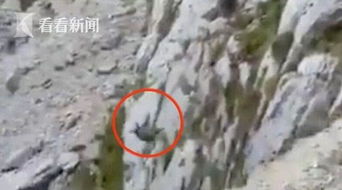 挽回企业以死相逼,企业被逼至悬崖边，如何求生存？