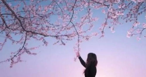 挽回时男生说想想,男友挽回：如何从心里面重新开始