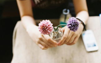 挽回女友说哭的话,漫长的道路，只为一次相遇