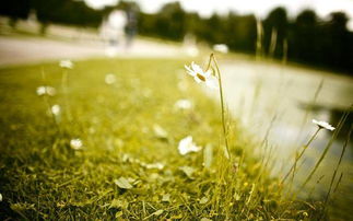 挽回白羊座朋友,如何去挽救与白羊座朋友的关系？