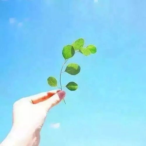 挽回情感语录婚姻文案,挽回婚姻幸福必修课