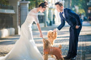 挽回与重新追求哪个,如何挽回爱情