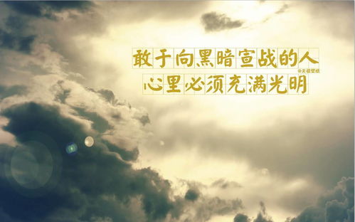 重生在离婚前挽回,重生励志，成功挽回离婚前。