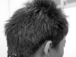 老了头发发白怎么挽回,头发变白如何回春